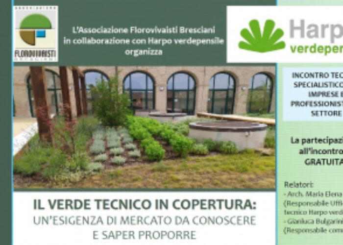 Il verde tecnico in copertura