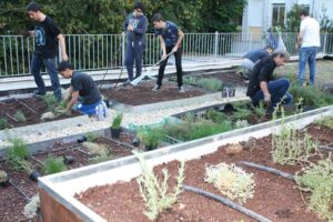 Scopri di più sull'articolo Liceo Keplero: lezioni di agronomia sul tetto verde della scuola