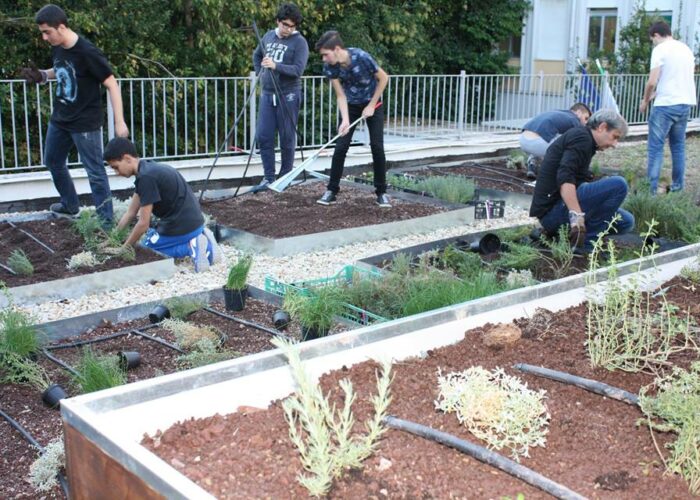 Liceo Keplero: lezioni di agronomia sul tetto verde della scuola