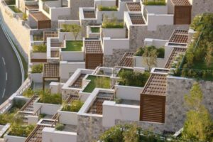 Scopri di più sull'articolo Harpo verdepensile promuove lo sviluppo delle Urban Green Infrastructure