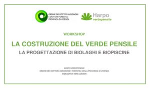 Scopri di più sull'articolo WORKSHOP  Verde Pensile  –  Vicenza 29 novembre 2019