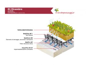 Scopri di più sull'articolo WORKSHOP: Tetto verde. Normativa e progettazione