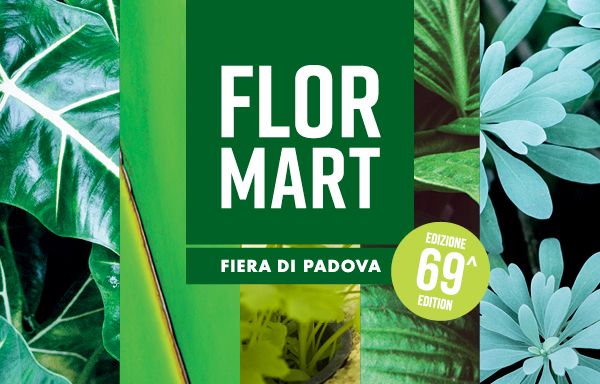 Scopri di più sull'articolo Harpo @ FLORMART 2018