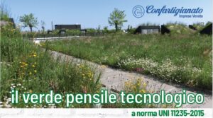 Scopri di più sull'articolo Webinar VERDE PENSILE TECNOLOGICO – 14 aprile 2021 – ore 18:00