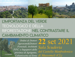 Scopri di più sull'articolo l’importanza del verde tecnologico e della riforestazione nel contrastare il cambiamento climatico