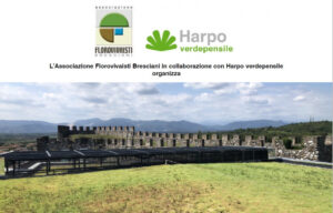 Scopri di più sull'articolo Il verde tecnico in copertura: specializzarsi è un’opportunità