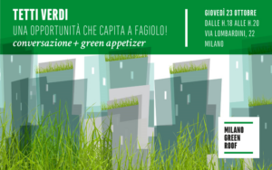 Scopri di più sull'articolo TETTI VERDI un’opportunità che capita a fagiolo!