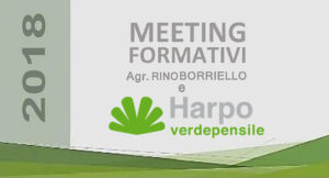 Scopri di più sull'articolo CONVEGNO: Pianificazione del verde tecnologico