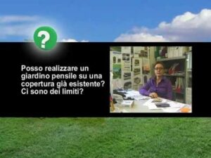 Scopri di più sull'articolo Harpo verdepensile – Realizzazione giardino pensile su copertura esistente