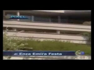 Scopri di più sull'articolo Harpo verdepensile – Manutenzione giardino pensile
