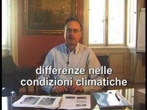 Scopri di più sull'articolo Harpo verdepensile – Norma UNI 11235