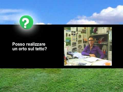 Scopri di più sull'articolo Harpo verdepensile – Piante giardino pensile