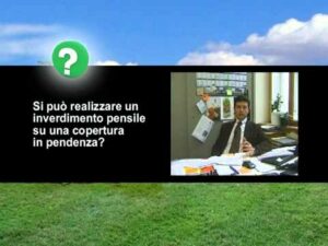 Scopri di più sull'articolo Harpo verdepensile – Inverdimento pensile su copertura in pendenza