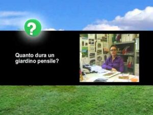 Scopri di più sull'articolo Harpo verdepensile – I benefici ottenibili con copertura a verde