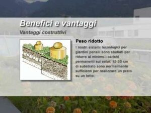 Scopri di più sull'articolo Harpo verdepensile – Benefici   vantaggi del verde pensile