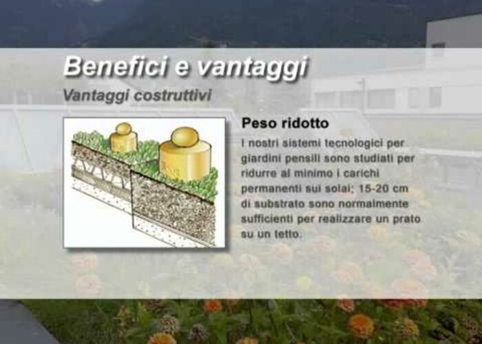 Harpo verdepensile – Benefici   vantaggi del verde pensile