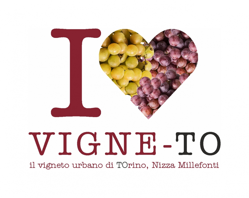 Scopri di più sull'articolo VIGNE-TO: Harpo con Eataly di nuovo insieme