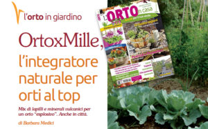 Scopri di più sull'articolo OrtoxMille, l’integratore naturale per orti al top