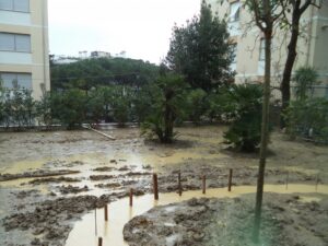 Scopri di più sull'articolo Non ostacoliamo il verde pensile