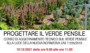 Scopri di più sull'articolo PROGETTARE IL VERDE PENSILE
