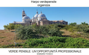 Scopri di più sull'articolo VERDE PENSILE: un’opportunità professionale – 22 settembre 2022 – ore 09:30/11:30
