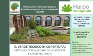Scopri di più sull'articolo Il verde tecnico in copertura