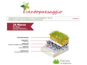 Scopri di più sull'articolo WORKSHOP: normativa e progettazione tetti verdi