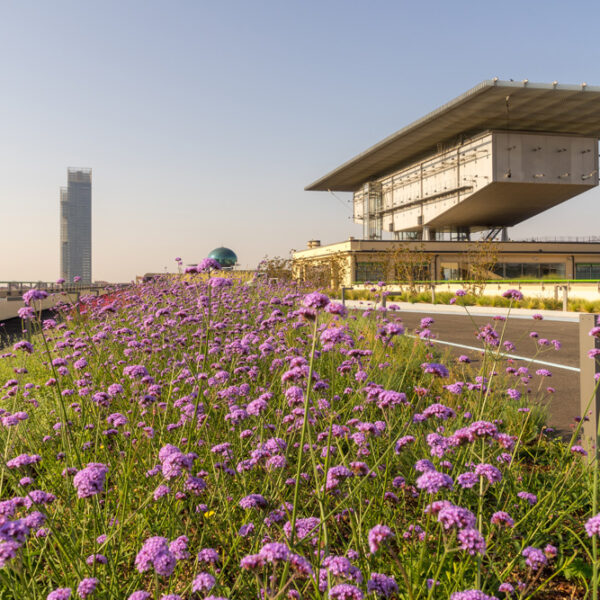 20210911_lingotto_©marcoschiavone-00766_courtesy-Benedetto-Camerana