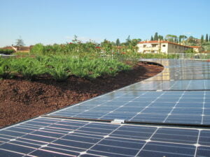 Scopri di più sull'articolo Tetto verde e fotovoltaico: una sinergia vincente!