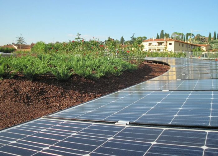 Tetto verde e fotovoltaico: una sinergia vincente!