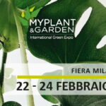 MYPLANT & GARDEN: VERDE PENSILE E ACQUA: CON HARPO DUE RISORSE IN SINERGIA