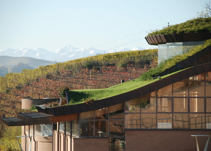 Il verde pensile a copertura delle cantine vinicole: elemento di valorizzazione paesaggistica e strumento tecnologico che riduce i carichi termici