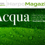 È uscito il nuovo Digital Magazine di Harpo verdepensile