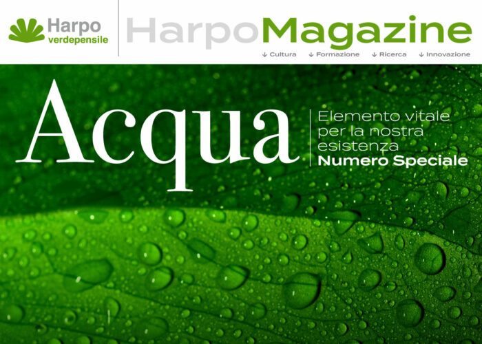 È uscito il nuovo Digital Magazine di Harpo verdepensile