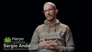 Scopri di più sull'articolo MediDrain MD 40 H il nuovo pannello drenante di Harpo verdepensile