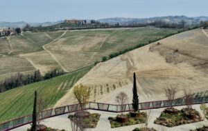 Scopri di più sull'articolo Langhe Boscareto Resort & Spa
