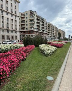 Scopri di più sull'articolo Ritorno a Viale Brigate Partigiane: un’intervista con il Dott. Riccardo Albericci