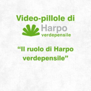 Read more about the article Short videos from Harpo verdepensile 2 of 18. Why choose Harpo verdepensile?
