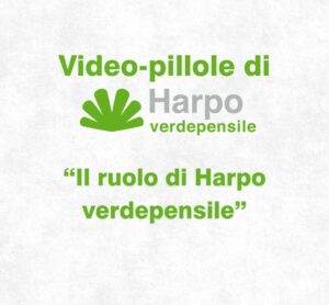 Scopri di più sull'articolo Il ruolo di Harpo verdepensile | Video-pillola 1 di 18