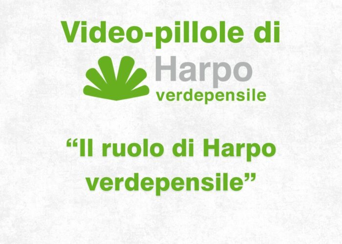 Short videos from Harpo verdepensile 2 of 18. Why choose Harpo verdepensile?