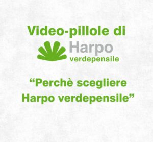 Scopri di più sull'articolo Perché scegliere Harpo verdepensile | Video-pillola 2 di 18