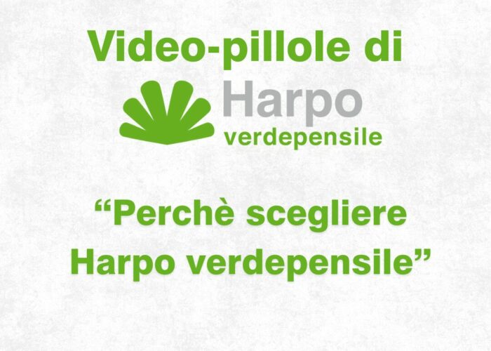 Short videos from Harpo verdepensile 1 of 18. The role of Harpo verdepensile