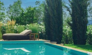 Scopri di più sull'articolo Giardino contemporaneo
