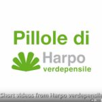 La manutenzione delle coperture estensive e intensive | Video-pillola 6 di 18