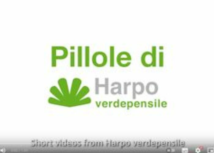 La manutenzione delle coperture estensive e intensive | Video-pillola 6 di 18
