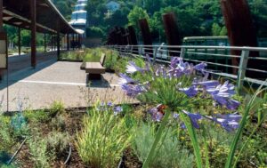 Scopri di più sull'articolo Un Giardino sul Ponte Ettometrico