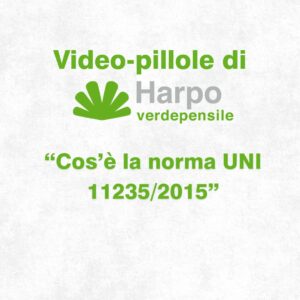 Read more about the article Short videos from Harpo verdepensile 1 of 18. The role of Harpo verdepensile