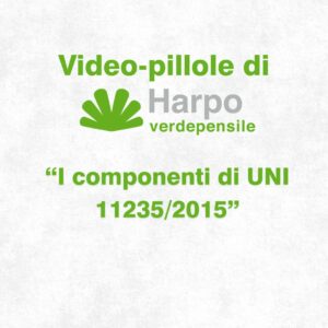 Read more about the article Short videos from Harpo verdepensile 1 of 18. The role of Harpo verdepensile
