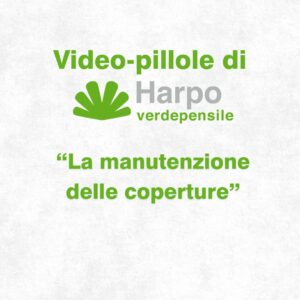 Read more about the article Short videos from Harpo verdepensile 1 of 18. The role of Harpo verdepensile