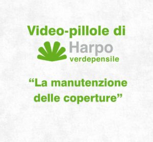 Scopri di più sull'articolo La manutenzione delle coperture estensive e intensive | Video-pillola 6 di 18